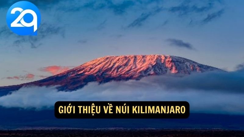 Du Lịch Núi Kilimanjaro: Trải Nghiệm Độc Đáo cùng 2q 5 Nui Kilimanjaro 1