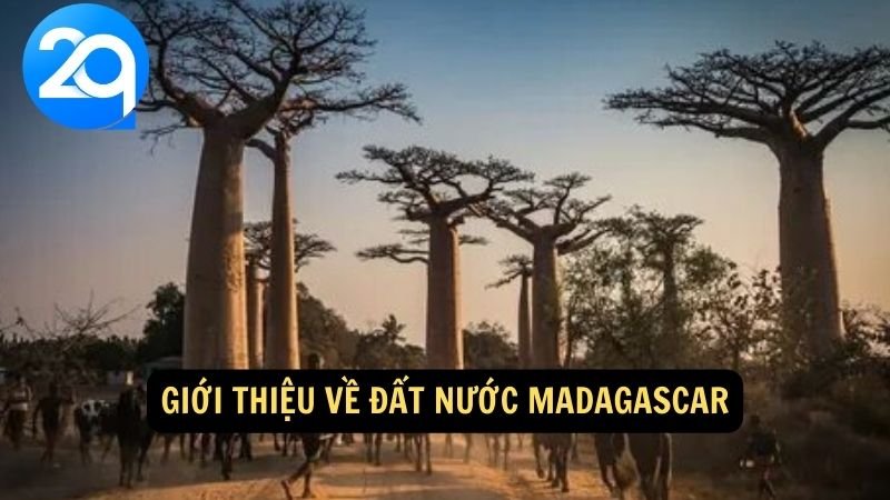Giới thiệu về đất nước Madagascar