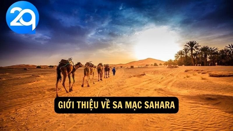 Khám Phá Sa Mạc Sahara cùng 2q: Bí Ẩn Và Vẻ Đẹp Kỳ Diệu 5 Giới thiệu về Sa mạc Sahara