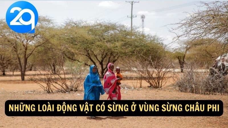 Khám Phá Vùng Sừng Châu Phi cùng 2q: Địa Danh Và Văn Hóa Đặc Sắc 7 Những loài động vật có sừng ở vùng sừng Châu Phi