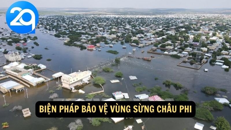 Khám Phá Vùng Sừng Châu Phi cùng 2q: Địa Danh Và Văn Hóa Đặc Sắc 6 Biện pháp bảo vệ vùng sừng Châu Phi