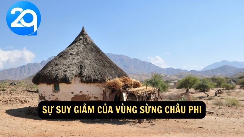 Khám Phá Vùng Sừng Châu Phi cùng 2q: Địa Danh Và Văn Hóa Đặc Sắc 5 Sự suy giảm của vùng sừng Châu Phi