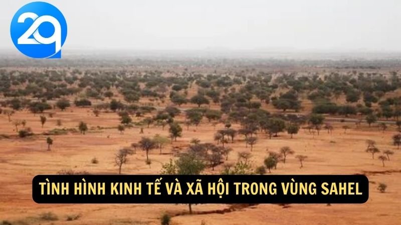 Du Lịch Vùng Sahel cùng 2q: Trải Nghiệm Môi Trường Hoang Mạc Và Các Cộng Đồng Địa Phương 6 Tình hình kinh tế và xã hội trong vùng Sahel