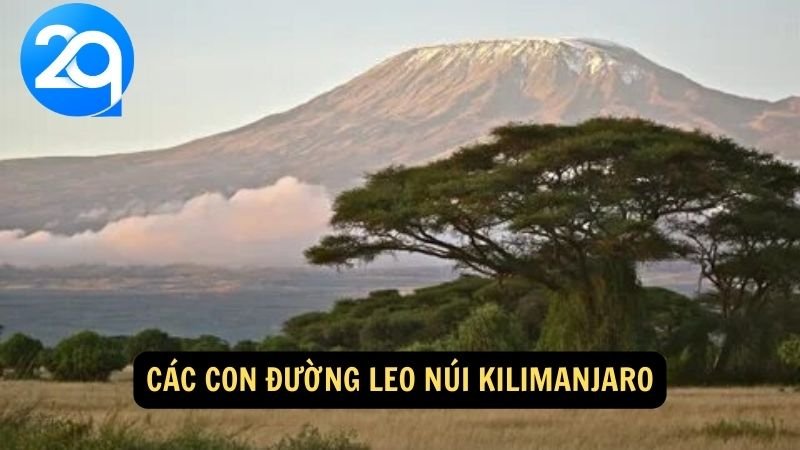 Du Lịch Núi Kilimanjaro: Trải Nghiệm Độc Đáo cùng 2q 7 Các con đường leo núi Kilimanjaro