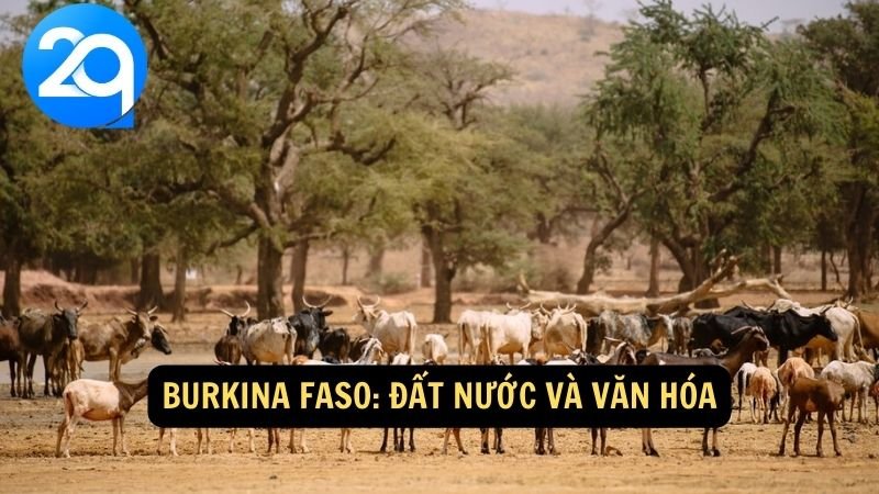 Khám Phá Burkina Faso cùng 2q: Di Sản Văn Hóa Và Cảnh Quan Đặc Sắc Của Tây Phi 5 Burkina Faso: Đất nước và văn hóa