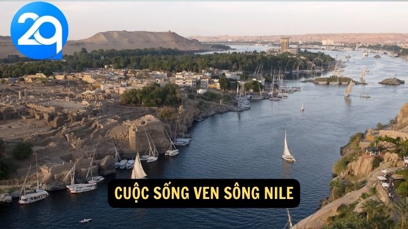 Khám Phá Sông Nile cùng 2q: Con Sông Dài Nhất Thế Giới Và Vai Trò Của Nó 7 Cuộc sống ven Sông Nile