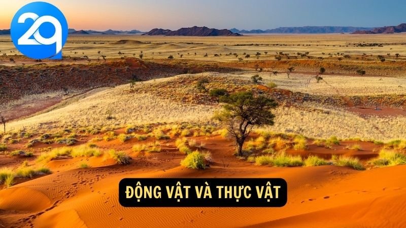 Khám Phá Sa Mạc Sahara cùng 2q: Bí Ẩn Và Vẻ Đẹp Kỳ Diệu 7 Động vật và thực vật