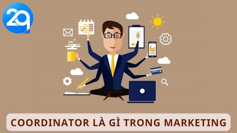 Coordinator Là Gì? Khám Phá Vai Trò Và Trách Nhiệm 6 Coordinator la gi 2