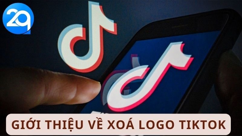Xoá Logo TikTok: Tất Tần Tật Những Gì Bạn Cần Biết 5 XOA LOGO TIKTOK 1