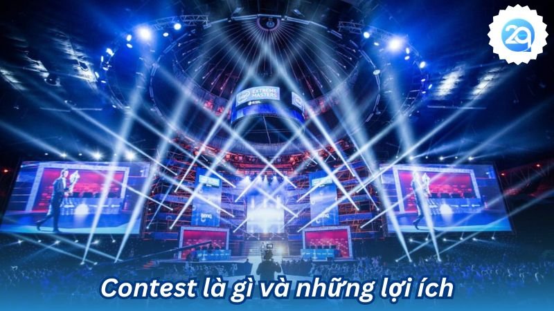 Contest là gì và những lợi ích