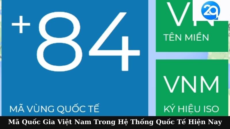 2Q - Mã Quốc Gia Việt Nam: Từ Lịch Sử Đến Hiện Tại Tương Lai 6 ma quoc gia viet nam (2)